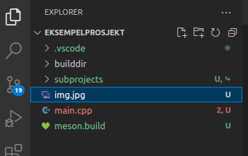 Bilde som viser et JPG fil i arbeidsområdet i Visual Studio Code